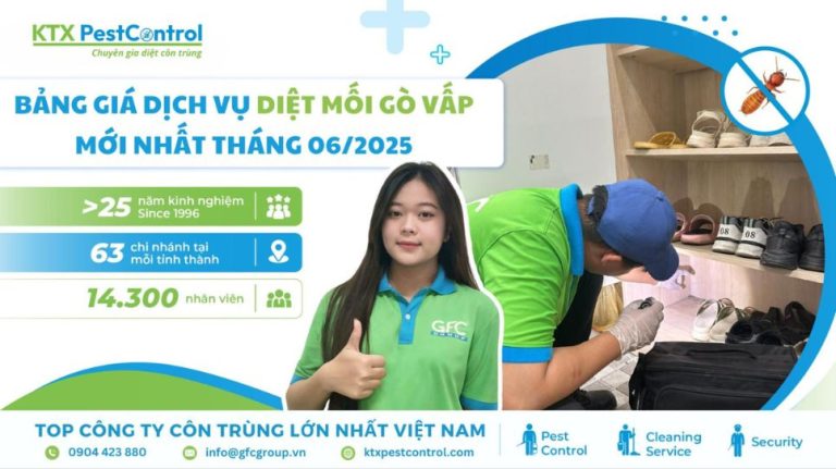Bảng giá dịch vụ diệt mối Gò Vấp mới nhất tháng 06/2025