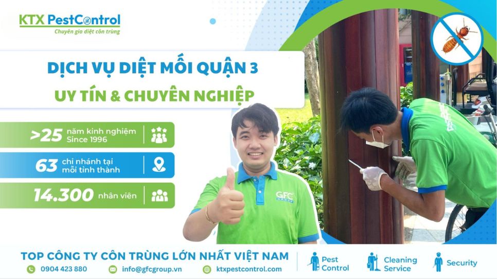 dịch vụ diệt mối quận 3 uy tín, giá rẻ