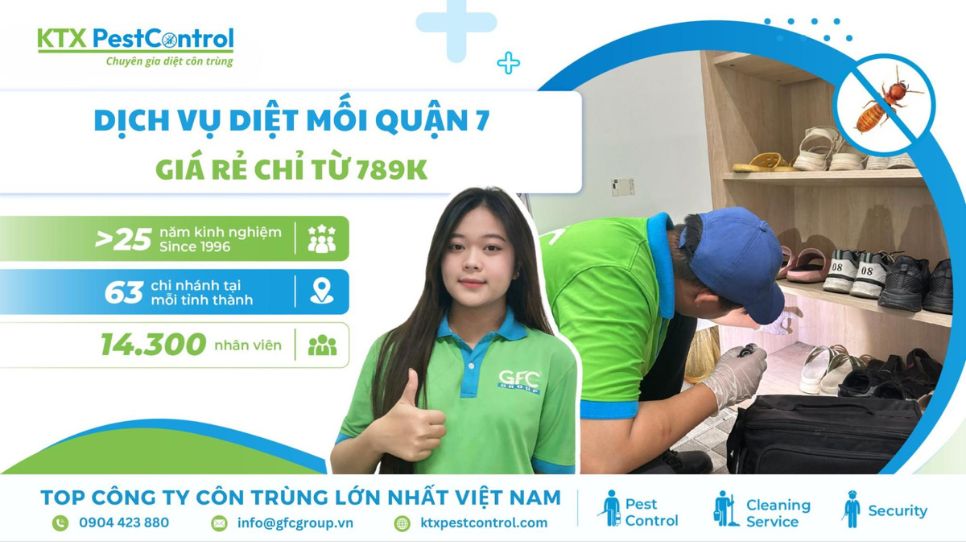 bảng giá dịch vụ diệt mối quận 7 giá rẻ, chuyên nghiệp