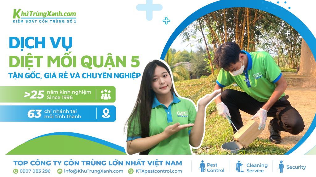 dịch vụ diệt mối quận 5
