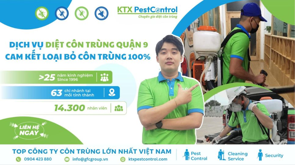 dịch vụ diệt côn trùng quận 9 cam kết hiệu quả 100%