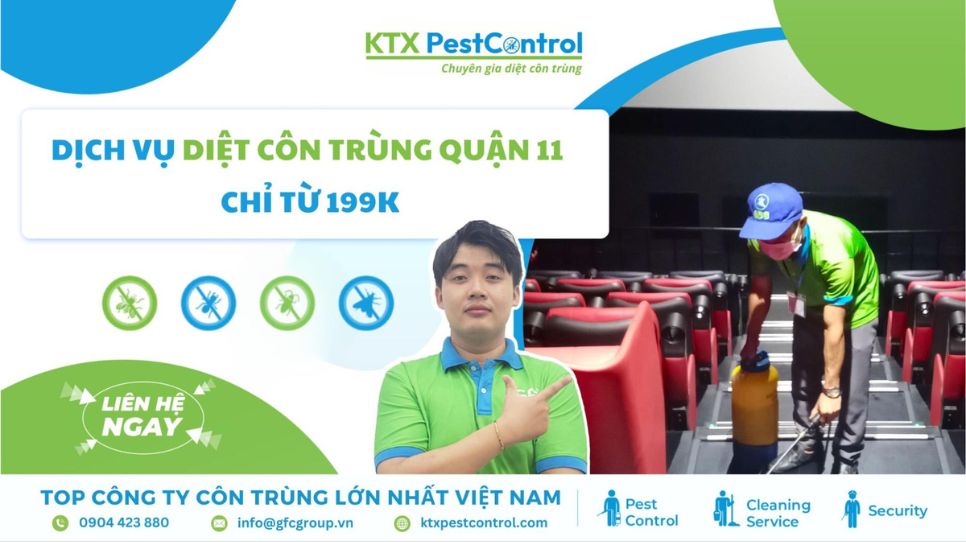dịch vụ diệt côn trùng quận 11 cam kết hiệu quả - KTX