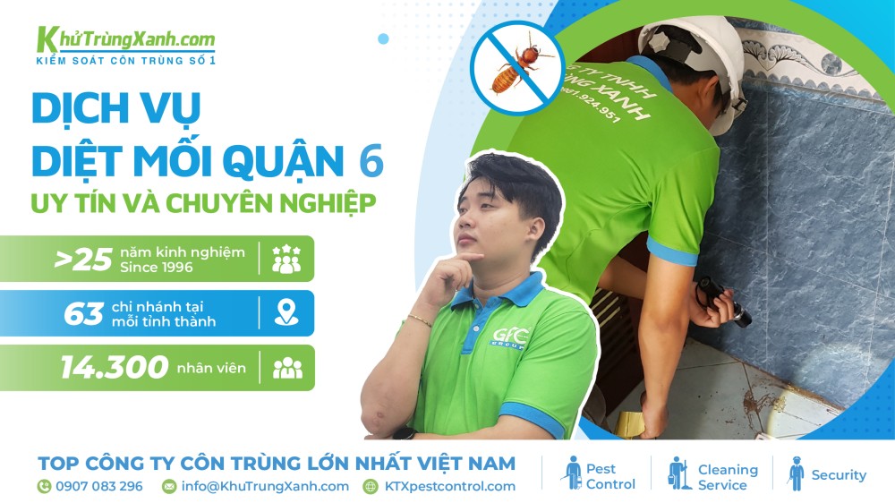 dịch vụ diệt mối quận 6