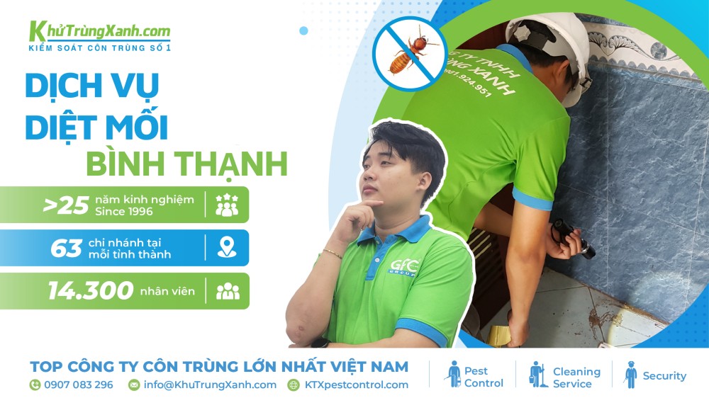 dịch vụ diệt mối quận Bình Thạnh