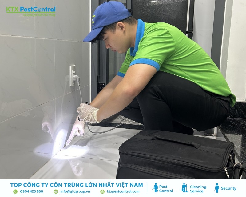 Kỹ thuật viên khảo sát và xác định mức độ mối 
