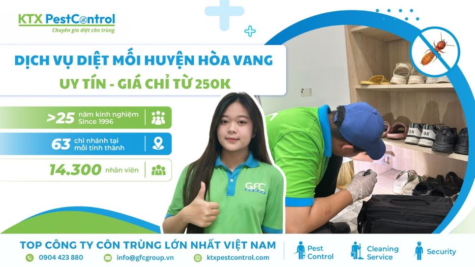 Dịch vụ diệt mối huyện Hòa Vang uy tín