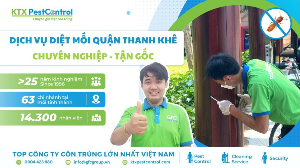 dịch vụ diệt mối quận Thanh Khê chuyên nghiệp, tận gốc