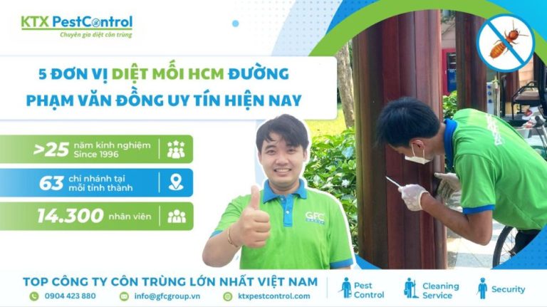 5 đơn vị diệt mối HCM đường Phạm Văn Đồng uy tín hiện nay