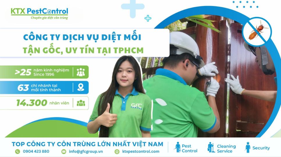 dich-vu-diet-moi-tan-goc